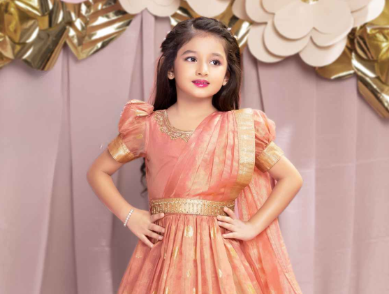 Ethnic Gowns